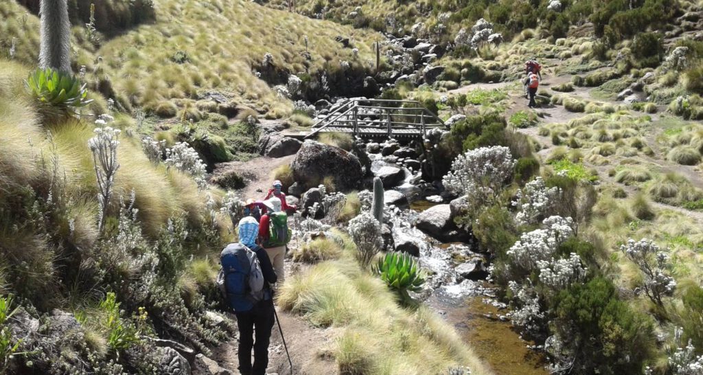 Mount Kenya Climbing Adventure company